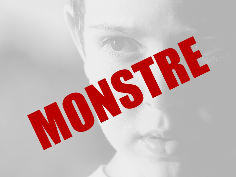 Qui sont vraiment les monstres ? Petite réflexion issue du roman "Je suis un monstre"